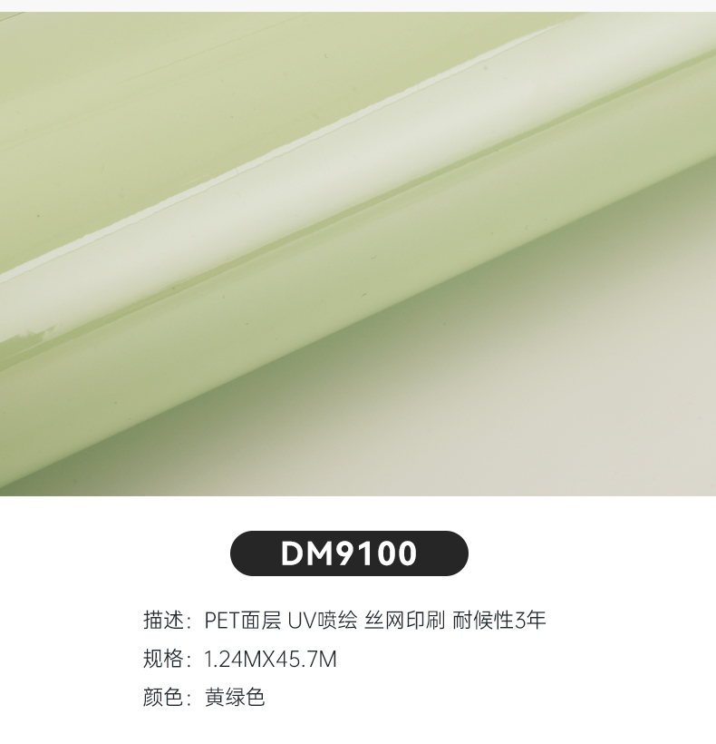 DM9100_04